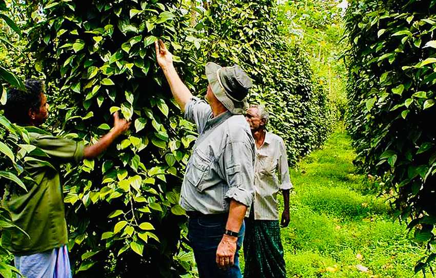 se-joindre-a-un-groupe-periyar-southindia-9jours